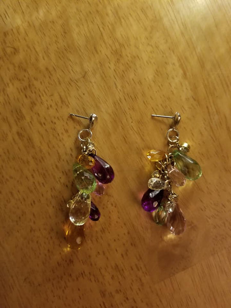 Multi Colored Dangly Earrings